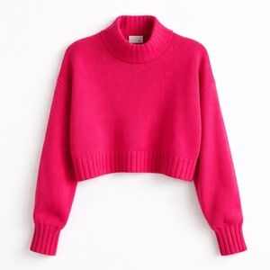 Wilfred Free Hot Pink Cropped Merino Wool Sweater | Size S